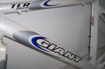 cuadro giant 003.jpg