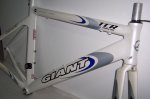 cuadro giant 005.jpg