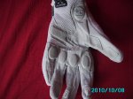 IMG_0509.jpg