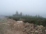 PIC_0206.jpg