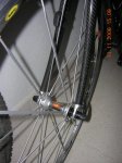 bici4.jpg