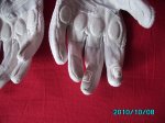 IMG_0507.jpg