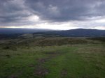DSCN2417.jpg