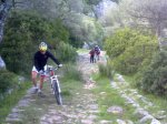 10042010063.jpg