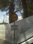 IMG00248.jpg