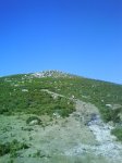 DSC00128.jpg