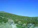 DSC00127.jpg
