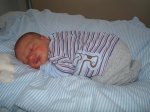 DSC08335Mini.jpg