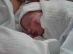 DSC08317mini.jpg