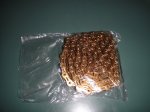 DSC04782.JPG