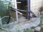 DSC02092.jpg