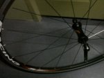 IMG00012-20101008-2101.jpg