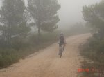 topabajo 007.jpg