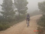topabajo 006.jpg