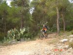 topabajo 005.jpg