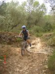 topabajo 010.jpg
