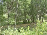 topabajo lÂ´olleria 117.jpg