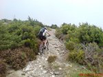 DSC05729.jpg