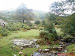 DSC05740.jpg