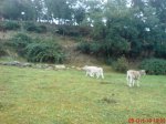 DSC05712.jpg