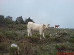 DSC05727.jpg