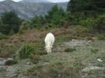 DSC03529 - Copy.JPG