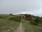 DSC03532 - Copy.JPG