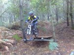 10102010865.jpg
