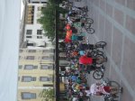SDC14508.jpg