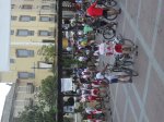 SDC14509.jpg