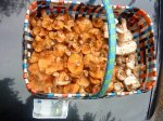 DSC00396.jpg