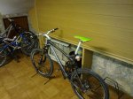 10102010056 (Medium).jpg