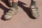DSC02482.jpg