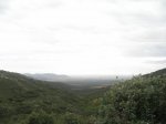 100_9923.jpg