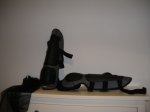 IMGP0212.JPG