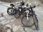 10102010216.jpg