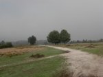 DSCN1621 (Large).JPG
