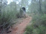IMG00047-20101009-1322.jpg
