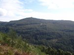 DSC00194.jpg