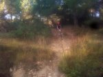 IMG00091-20101009-0937.jpg