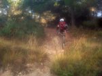 IMG00092-20101009-0938.jpg