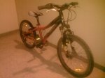 specialized1.jpg