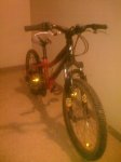 specialized2.jpg
