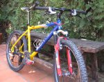 Scott (7).JPG