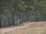 Monte6.JPG
