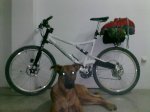 11102010067.jpg