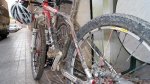 DSC00122.jpg