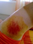 12102010143.jpg