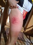12102010139.jpg
