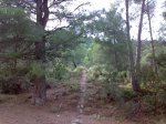 12102010234.jpg